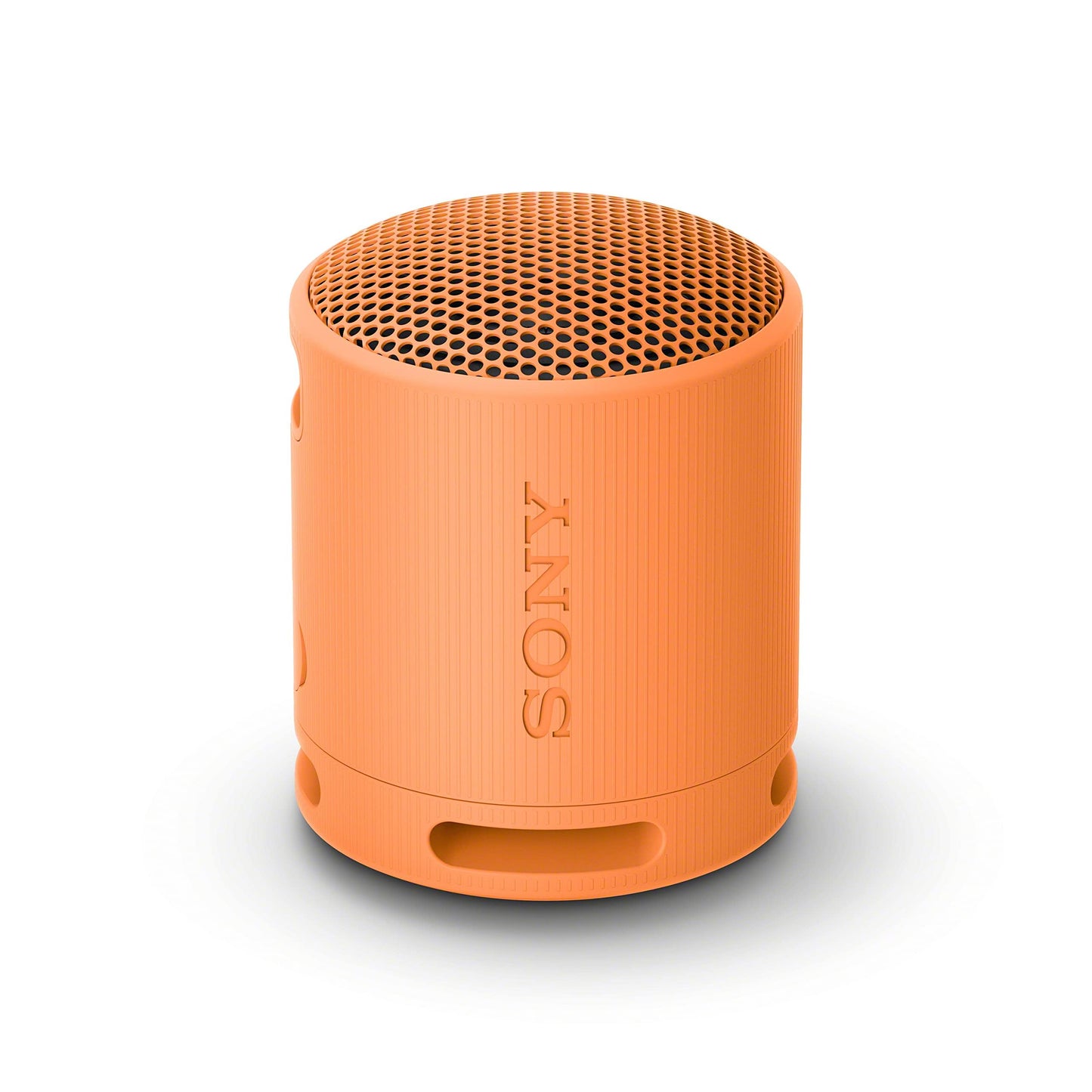 Sony SRS-XB100 Wireless Bluetooth Portable