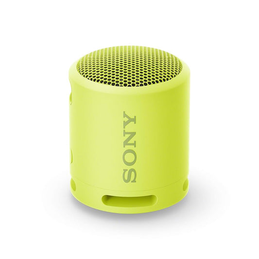 Sony SRS-XB100 Wireless Bluetooth Portable